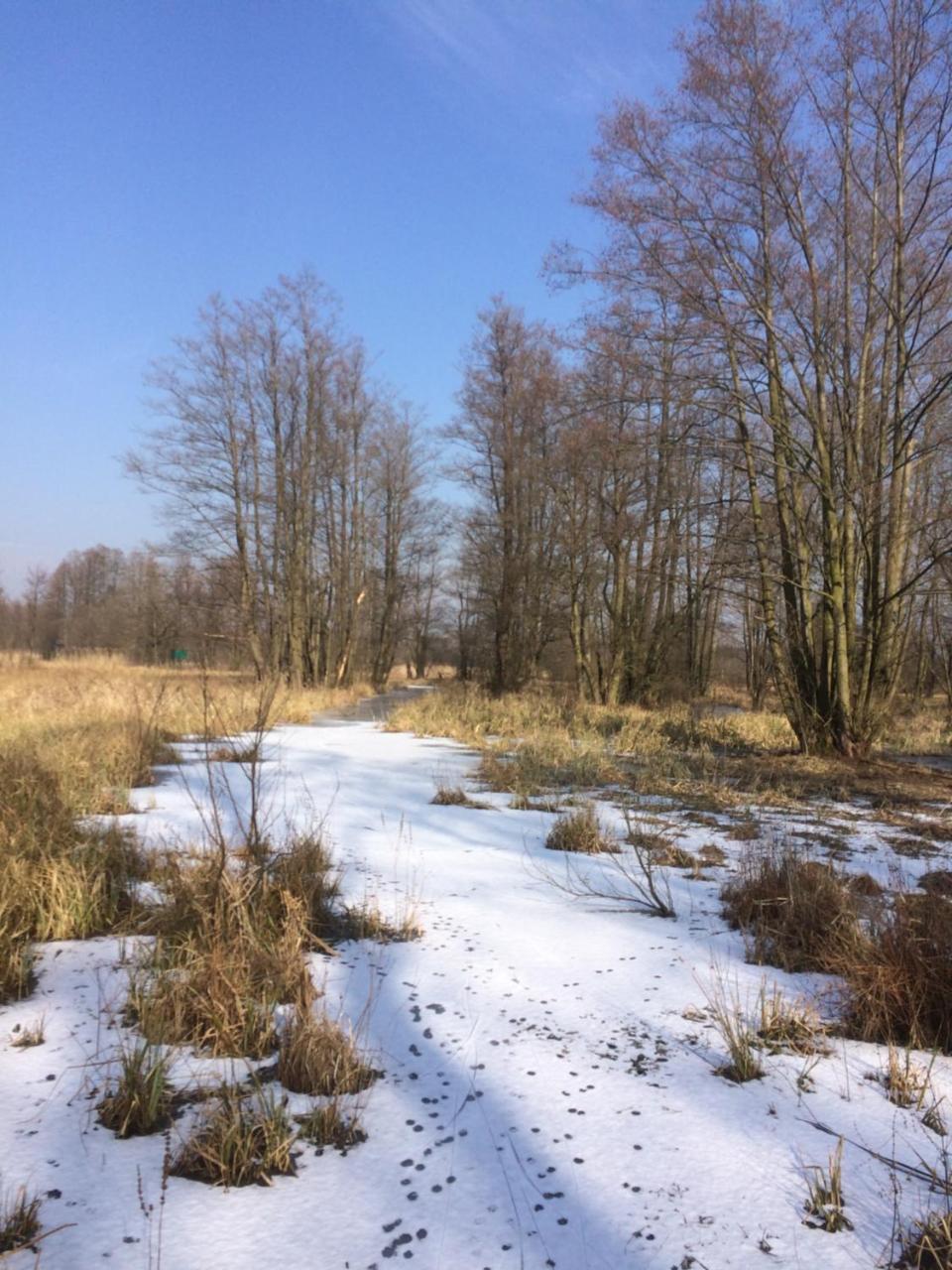 Apartment Storchenblick *